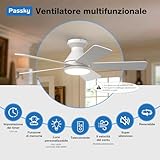 Passky B0GD5232KH lato 2