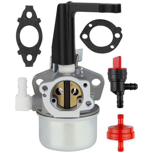 696065 697422 Carburetor Kit for 110402 110412 215369 5HP 5.5HP