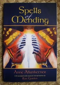 Paperback Spells of Mending Book