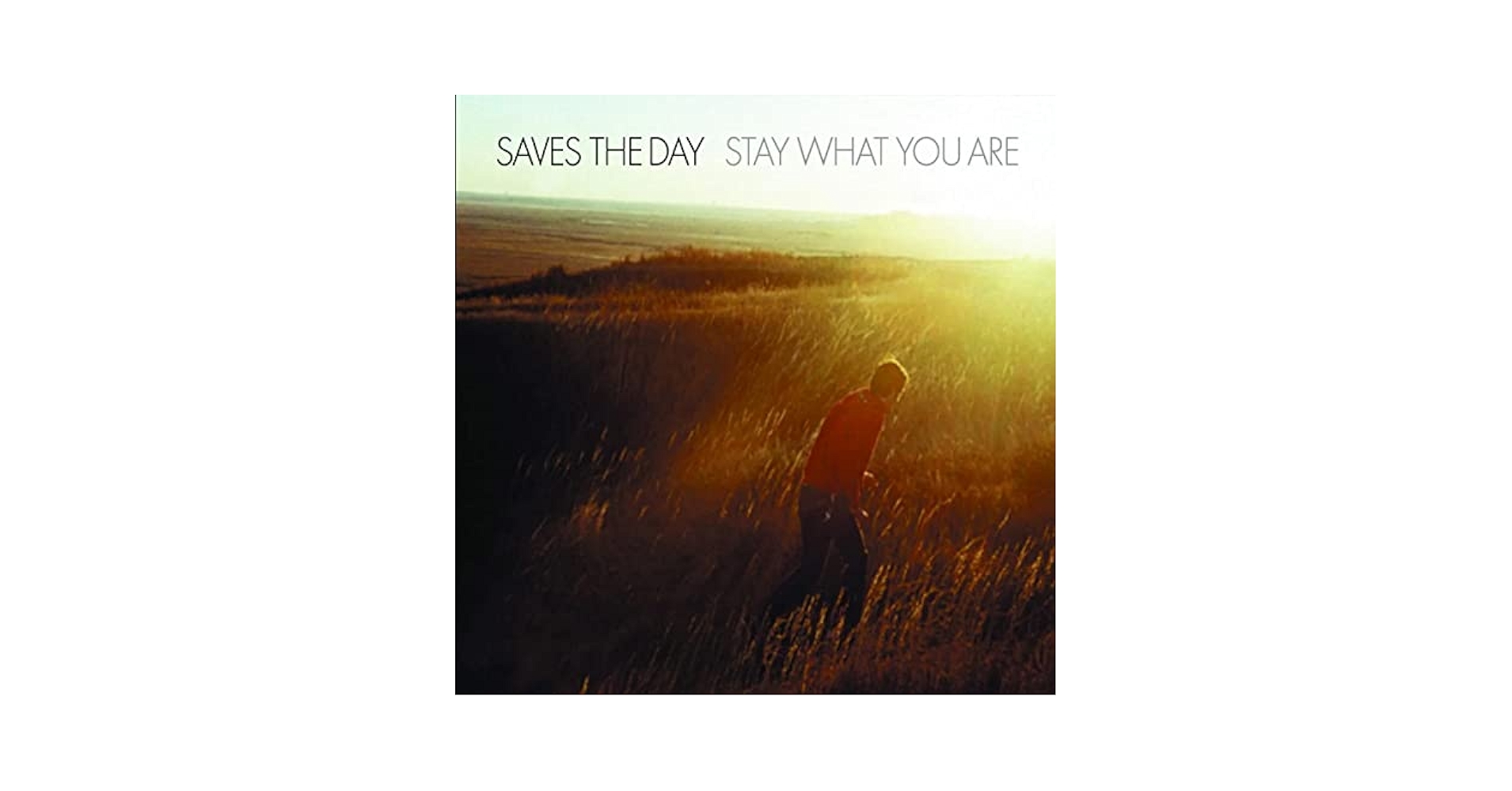 Saves the Day - Stay What You Are - 10-Inch Vinyl - Amazon