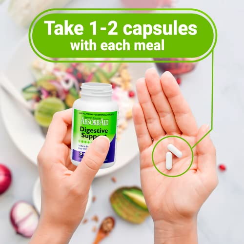 Nature's Sources Absorbaid Digestive Support - 90 Vcaps #TOP6