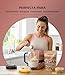 Imagen de GLORIOSO Proteina Vegana Isolate Sin Azucar Ni Lactosa con DigeZyme® Batido Bajo en Carbohidratos Sin Gluten Vegan Protein Powder con Mezcla a Base de Guisantes Arroz y Calabaza Sabor Vainilla 400g