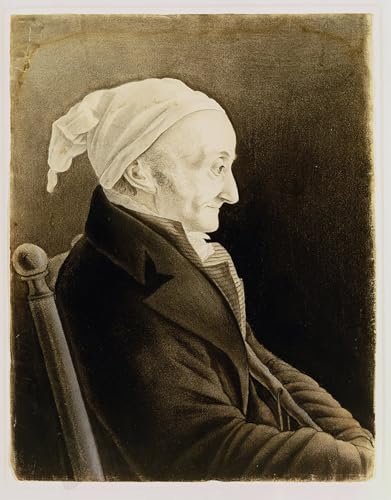 Tableau Henri de Gallon John Audubon, décoration murale en toile 60x90cm pour grand bureau