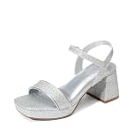 DREAM PAIRS Girls Sandals Open Toe Low Block Chunky Heels Sandals Party Dress Pumps Shoes for Little Big Kid,Size 2 Big Kid,Silver-Glitter,SDHS25033K-V1