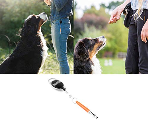 Mighty Paw Training Whistle, Silent Dog Whistle With Retractable Belt Attachment And Neck Lanyard, No Bark Dog Training Tool For Obedience And Recall. (Orange) #TOP3