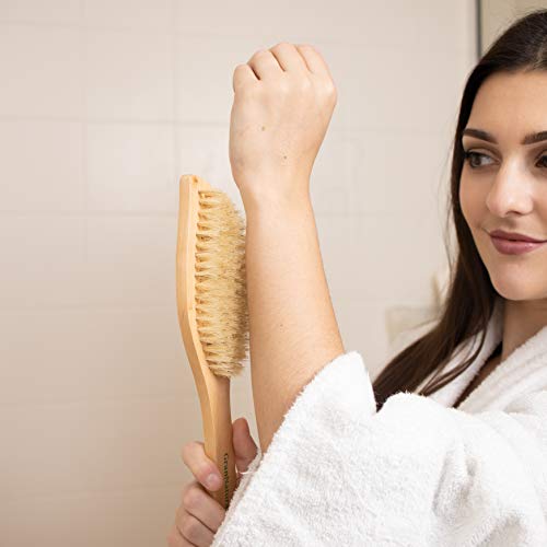 Image of GranNaturals Dry Skin and Body Brush - 11.4 Inches - Improve Blood Circulation, Exfoliate Skin, Reduce Cellulite - Curved Natural Bristle Exfoliating Brush for Back, Legs, Feet