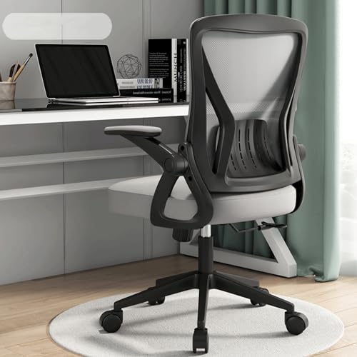 Ernqi Silla Escritorio Oficina Juvenil con Respaldo Ajustable,Reposabrazos Abatible Ergonomica Giratoria Despacho Chair Soporte Lumbar,Inclinación Giratoria,para Computadora,Dormitorio (Gray,B)