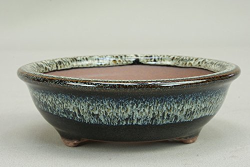 ���悶�� �y�~�͔��z ���Ό���/4�� ���t�۔�[�C�l��] �y���E12cm�z�y�~�j���`�����z