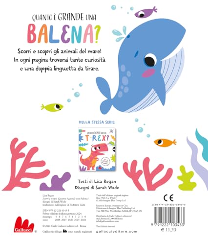 Quanto è Grande Una Balena? - Scorri E Scopri - 4
