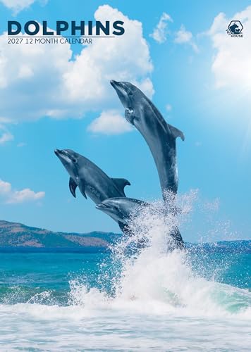 Calendario de delfines 2027 vertical A3 un regalo práctico para amantes de la naturaleza