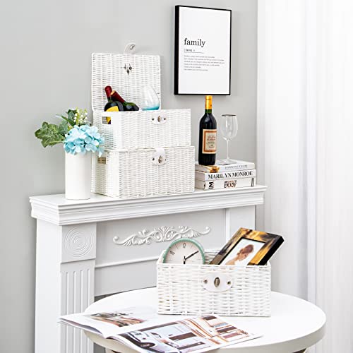 Homepeaz Set Of 3 Woven Wicker Storage Basket Box With Lid & Lock, Built-In Carry Handles, Multifunctional Storage Organiser For Nursery, Baby, Clothes, Toys, Books, Large/Medium/Small Size (White) #TOP1