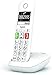 Gigaset E290 - Teléfono Fijo Inalámbrico con Teclas Grandes y Pantalla de...
