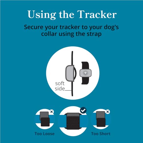 Image of petivity Purina Dog GPS Tracker Collar, Activity and Real Time Tracking