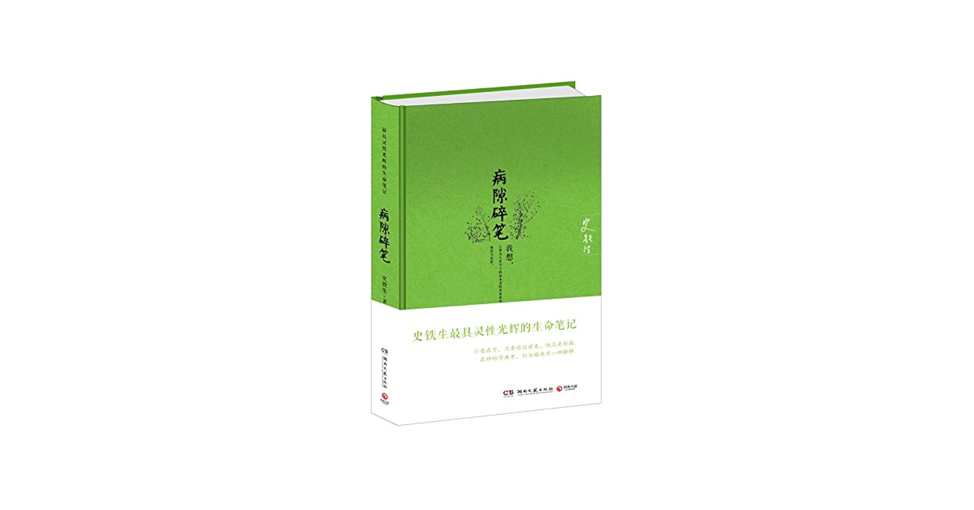 Amazon.com: Jottings in Sickbed (Chinese Edition) 病隙碎笔