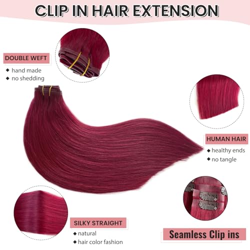 Image of Hair Extensions Burgundy Clip in Hair Extension Real Human Hair Clip on Hair Extensions for Women 18 Inch 100G 7 Pcs