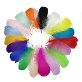 【Material】Todas las plumas son plumas de ganso natural, teñidas después de la desinfección, seguras y no tóxicas, no se desvanecen.