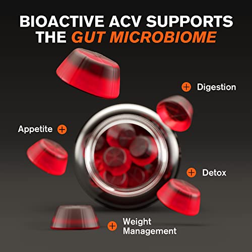 Organic Apple Cider Vinegar Gummies With The Mother - Energy Boost Plus Heart, Gut, & Immune Health - Gluten Free, Non Gmo, Dairy Free - Raw Probiotic & Prebiotic - Vegan Acv Gummies With Ginger Root #TOP5