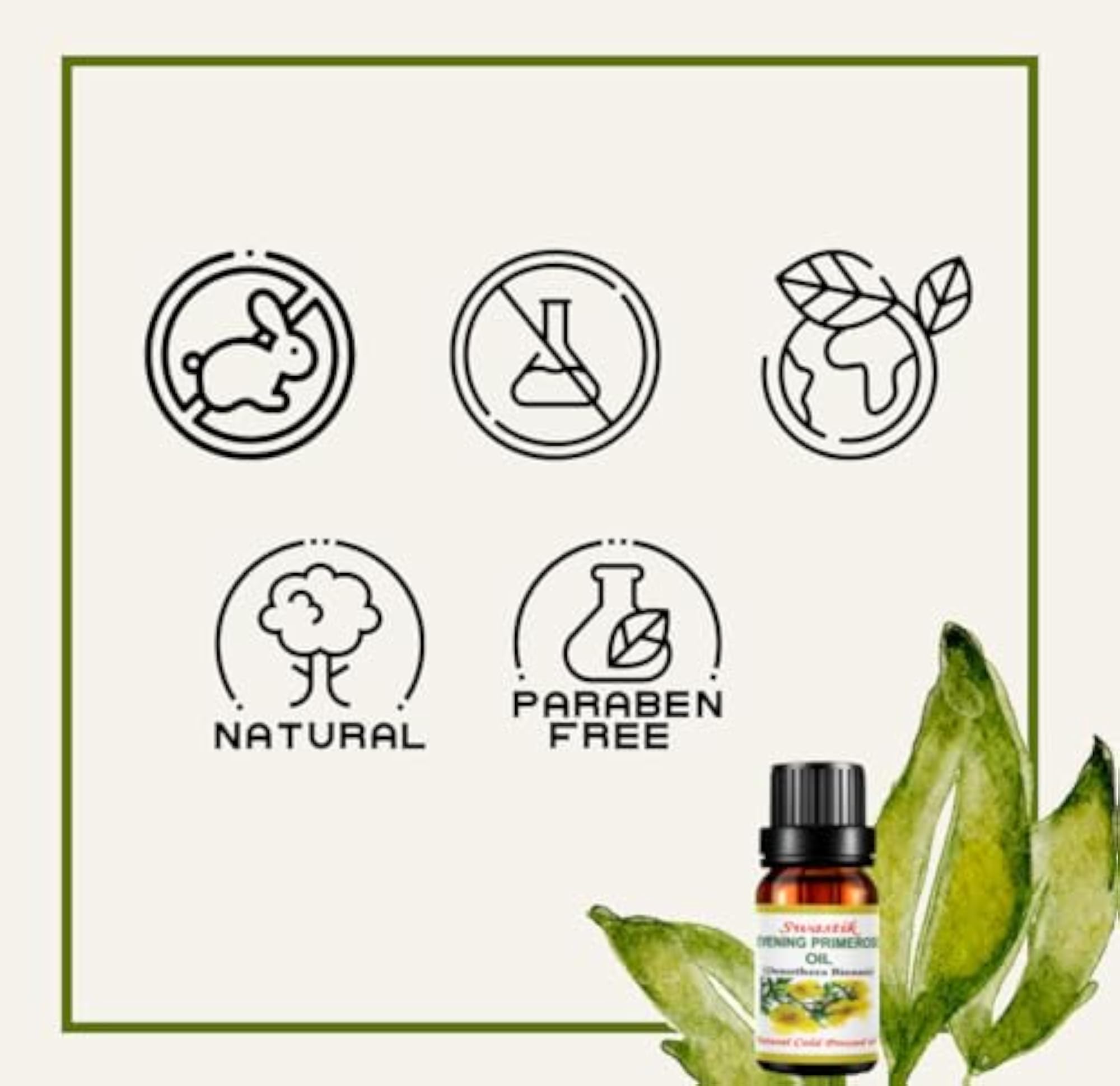 Evening Primrose Essential Oil, 100ml