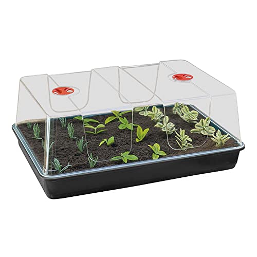 Muddy Hands High Dome Propagator Garden Greenhouse Plant Seedling Seed Germination Tray with Lid (Tray Comes With Drainage Holes) (Extra Large)