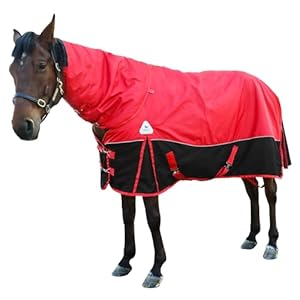 Horse Care Blanket Winter 1800D Premium Turnout Horse Blanket,Medium Weight Waterproof Blanket with Turnout Neck Cover Detachable (US 72 in(EU 135 cm))