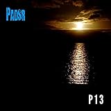  P13