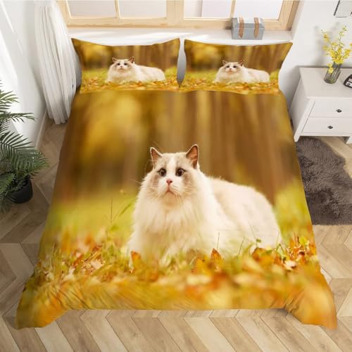 Housse de couette 200x200 chat ragdoll en microfibre douce anti-plis