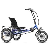 ZYCLE Z500 City Electric Trike for Adults, 750W...