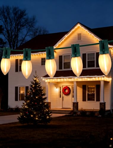 Hobbynors Vintage Christmas Lights Outdoor - 25FT C9 LED String Lights with 25 Warm White Bulbs, Waterproof & Connectable for Holiday, Xmas Tree, Porch, Party Decorations (Green Wire)