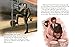 George W. Bush: A Little Golden Book Biography