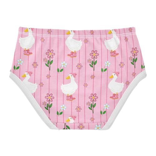 White Ducks Pink Flowers Toddler Girls's Underwear 2T 202c16202