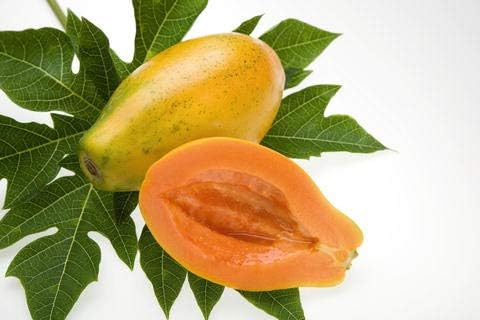 Miniatura 3 de 50pcs Semillas de Frutas de Papaya Cilíndrica Enana "Kaek dahm"