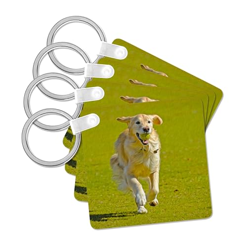 3dRose, Golden retriever running on a green lawn with a