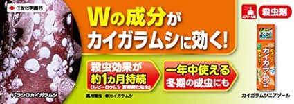 Amazon 住友化学園芸 殺虫剤 カイガラムシエアゾール 480ml Diy 工具 ガーデン