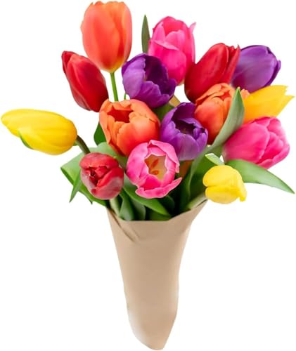 Stargazer Barn - Prime Overnight Delivery - The Happy Bouquet- Farm Fresh Colorful Tulips - Ship directly from our farm to your door, Red, Pink, Yellow, Purple, Orange