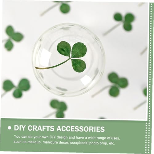 Hojas de trébol prensadas para manualidades 24pcs miniatura 7