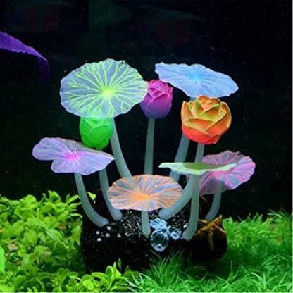Petzlifeworld Glowing Mushroom with Lotus Leaf Artificial Silicon Ornament Decoration for Aquairum (B09G7R6CJ5) Amazon Price History, Amazon Price Tracker
