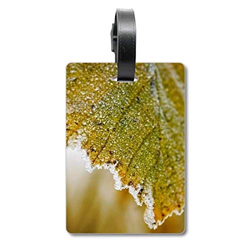 Étiquette de valise motif feuille résistante et design végétal