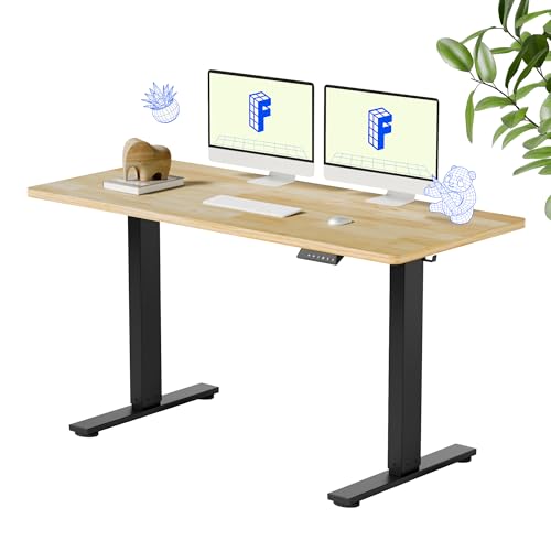FLEXISPOT EN1 Adjustable Wooden Standing Desk (55x24)