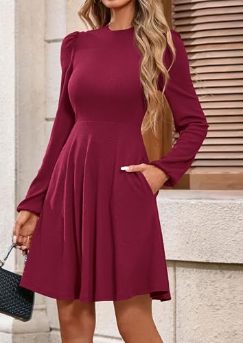 Image of PRETTYGARDEN Womens Long Sleeve Mini Dress 2026 Fall Trendy Crewneck Ribbed Knit Soft A Line Flowy Summer Formal Dresses