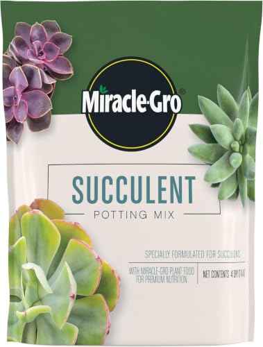 Image of Miracle-Gro Succulent Potting Mix - Potting Soil Mix for Indoor Succulents, Aloe Vera and More, Made with Miracle-Gro Plant Food, 4 qt. (Pack of 10)