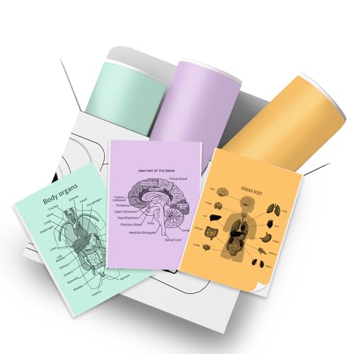 office color printer paper