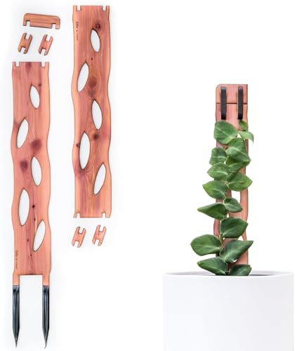 Treleaf Zella Regular Starter Kit Wooden Extendable Plant Trellis for Indoor Climbing Houseplants Modular Plant Support with 2 Bases + 2 Extensions - Moss Pole Alternative