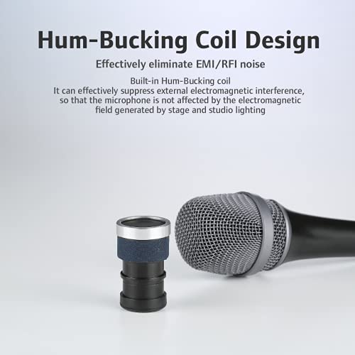 Carol Dynamic Microphone Vocal With Super-Cardiod Unidirectional, Top Choice For Live Stage Performance Noise Cancelling Ahnc Technology, P-1 Black #TOP3