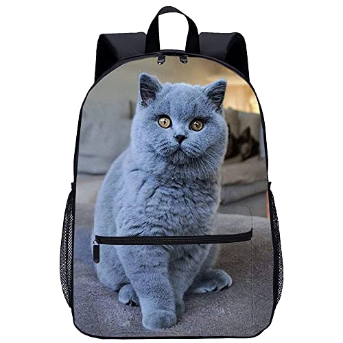 Cartable chat unisexe 45x30x15cm pour filles et garçons