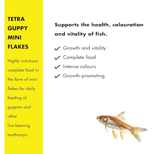 Image of Tetra Guppy Complete Fish Food for All Guppies 30 Gram Fish Food