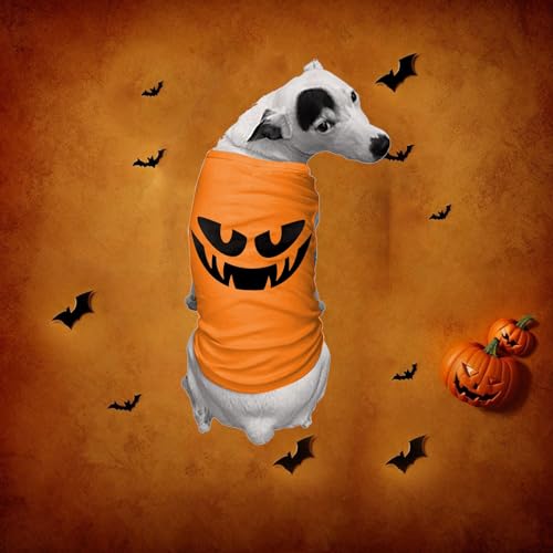 Family Matching Halloween Pajamas Adult Onesie Pumpkin Graphic Couples Women Men Dog Pjs Novelty One-piece Pajamas3