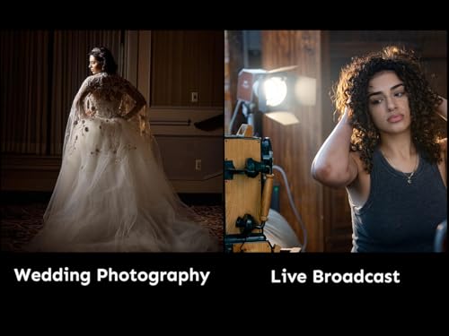 HOBOLITE Hobolite Avant LED ビデオライト 標準キット 100W の商品画像 3