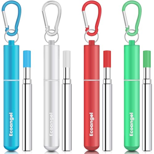 Ecoangel Cruise Ship Essentials, Reusable Metal Straws (4 Pack)