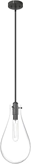 Hunter Fan Company 19563 Lundin Pendant Light, Noble Bronze