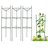 Rostfrei und langlebig: Stahlkern für Stärke und Haltbarkeit, bietet starken Halt für das Wachsen von Pflanzen und kleinen Bäumen. Kunststoffbeschichtetes Stahlrohr bietet Witterungs- und Rostschutz, hervorragende UV-Beständigkeit und chemische Beständigkeit.